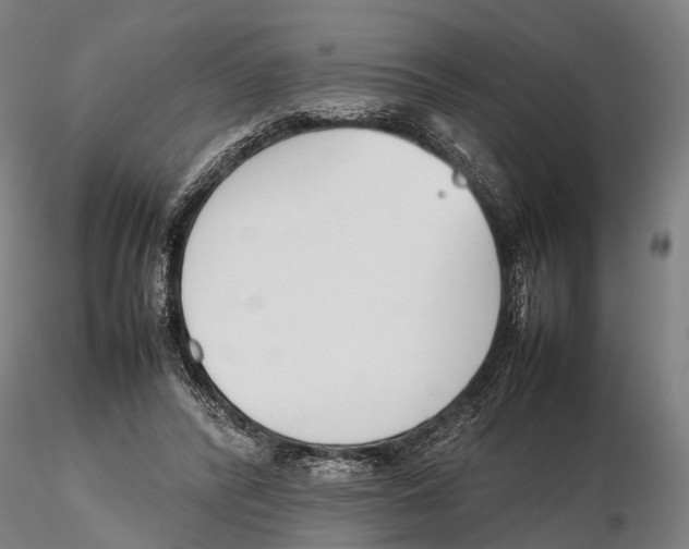 X0000115720400200912101433