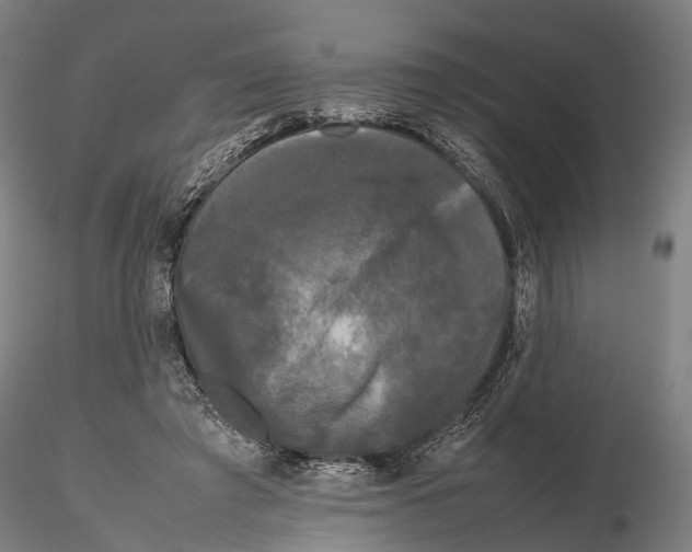 X0000115720401200912101433