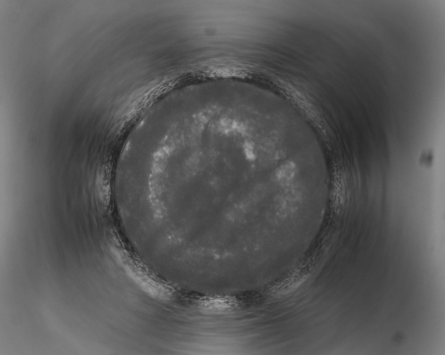 X0000115720402200912101433