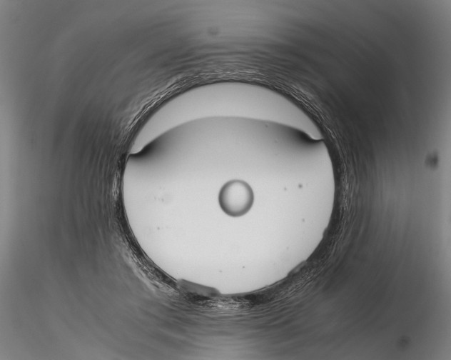 X0000115720405200912101433