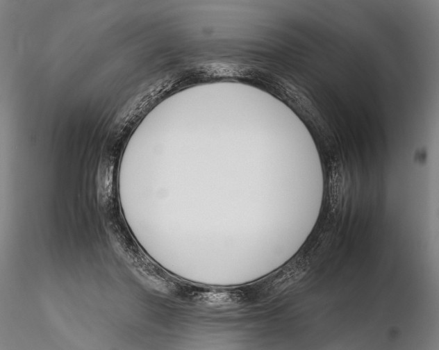 X0000115720406200912101433