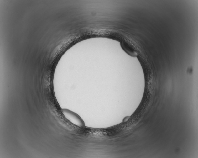 X0000115720407200912101433