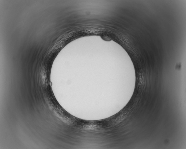 X0000115720408200912101433