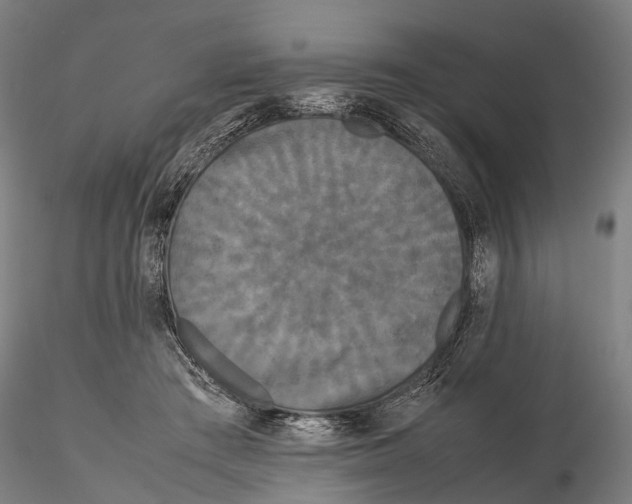 X0000115720409200912101433