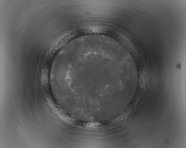 X0000115720410200912101433