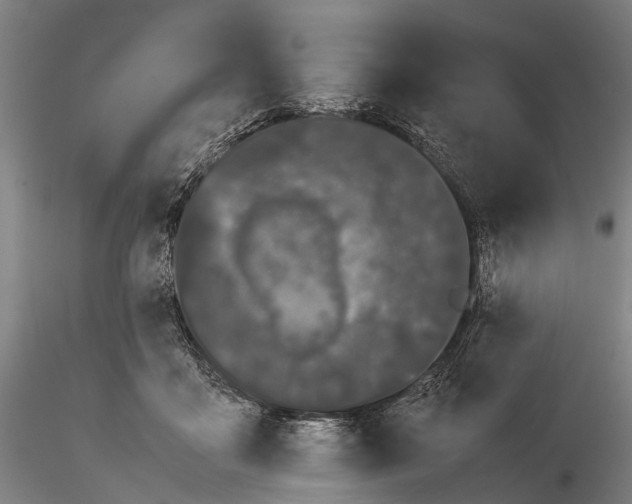 X0000115720411200912101433