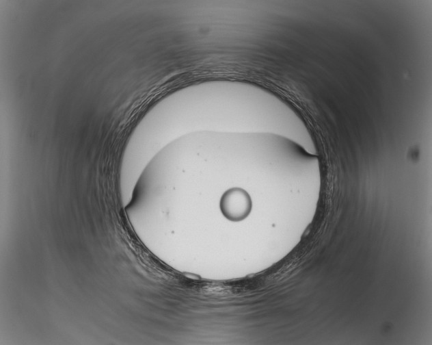 X0000115720413200912101433