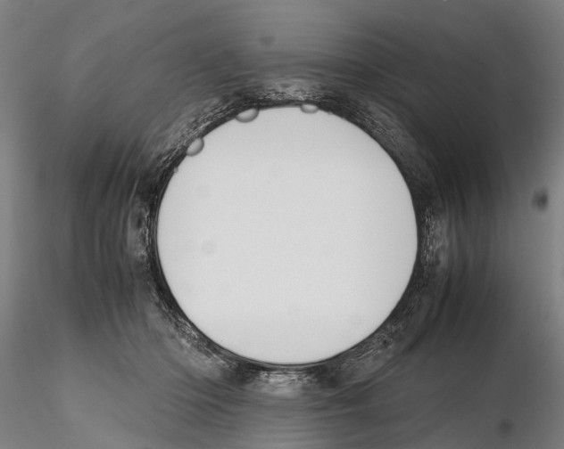 X0000115720414200912101433
