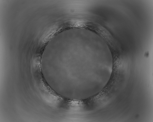 X0000115720415200912101433