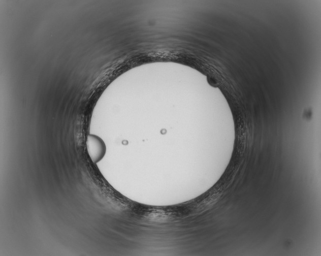 X0000115720416200912101433