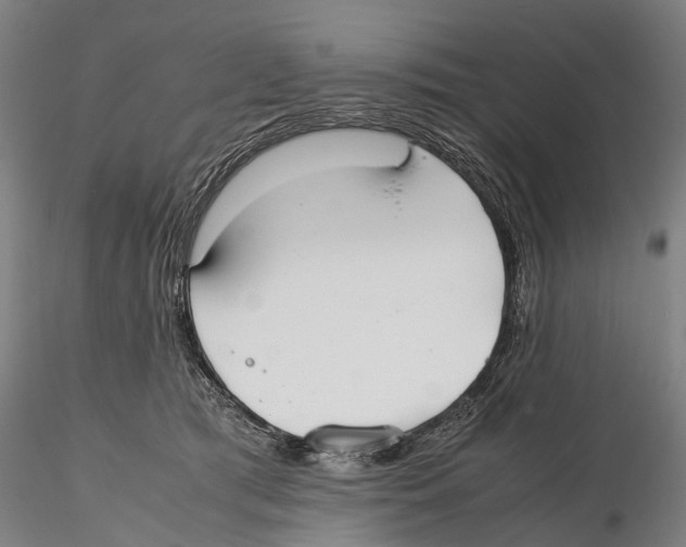 X0000115720417200912101433