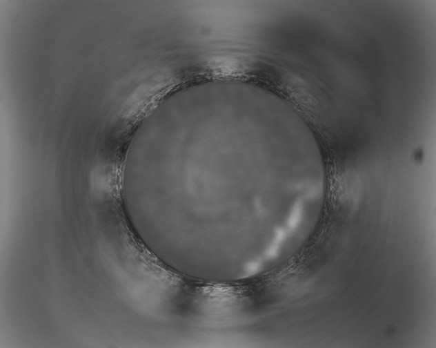 X0000115720419200912101433
