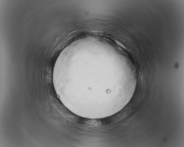 X0000115720421200912101433