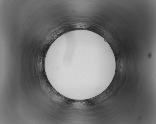 X0000115720422200912101433