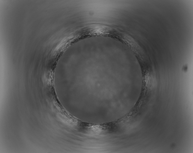 X0000115720423200912101433