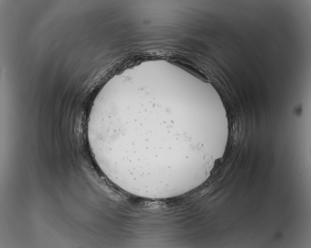 X0000115720424200912101433
