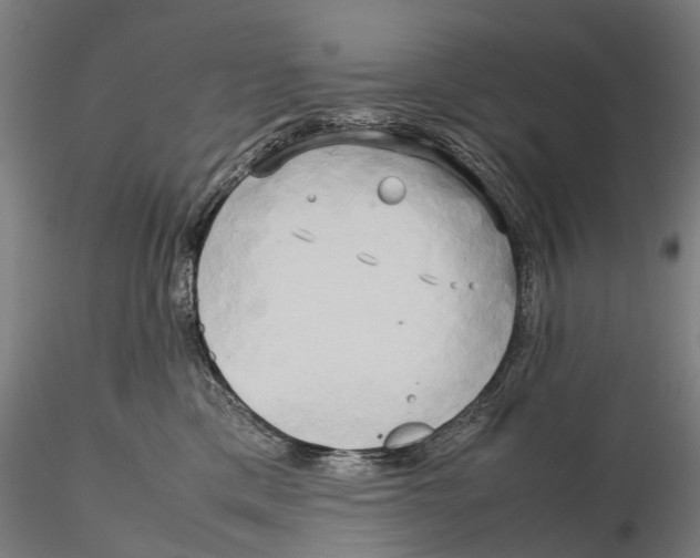 X0000115720425200912101433