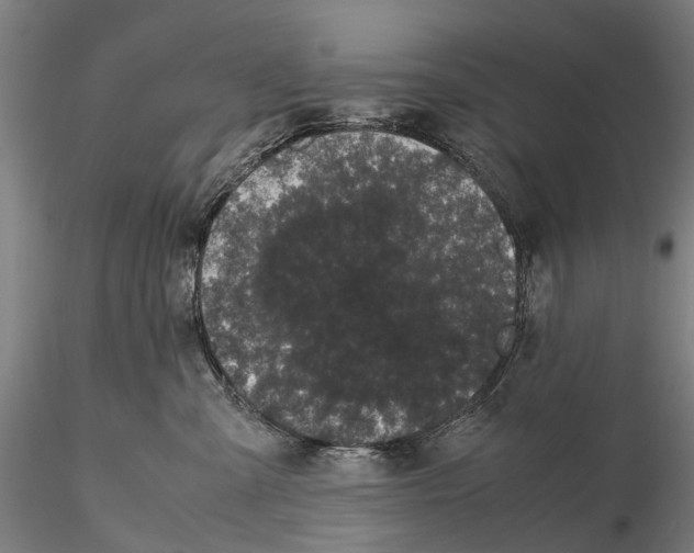 X0000115720427200912101432