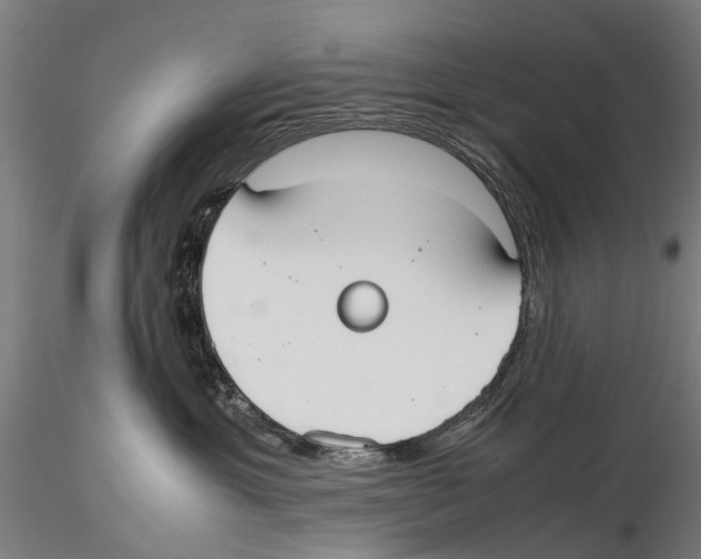 X0000115720429200912101432