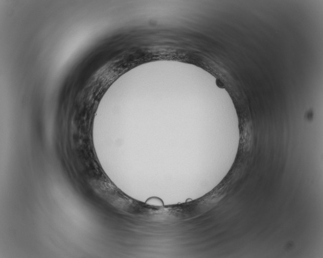 X0000115720430200912101432