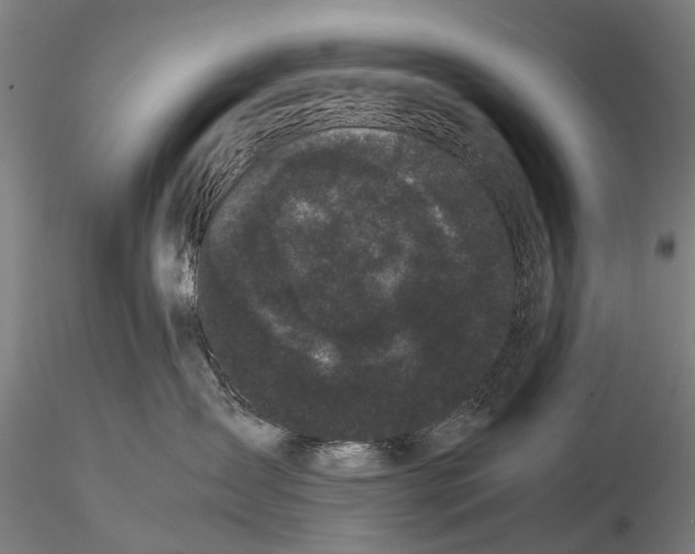 X0000115720431200912101432