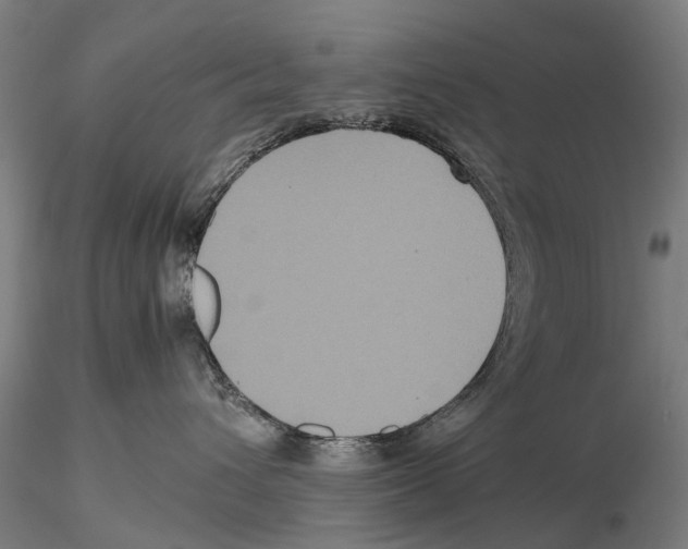 X0000115720432200912101432