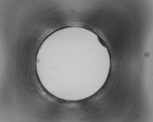 X0000115720433200912101432