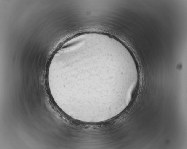 X0000115720434200912101432