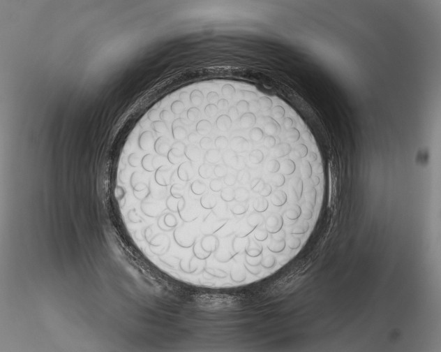 X0000115720435200912101432