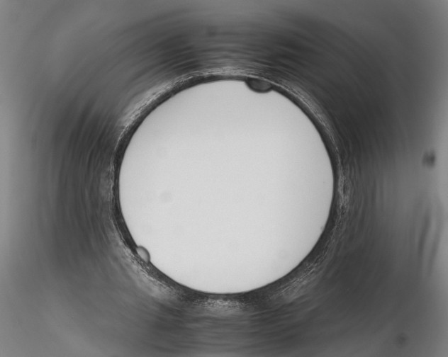 X0000115720437200912101432