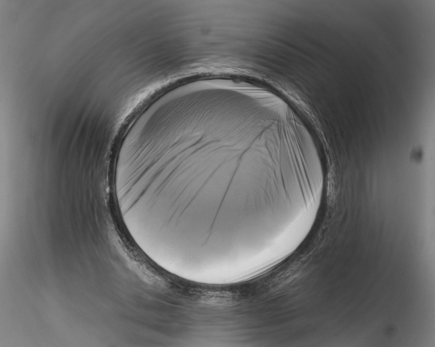X0000115720438200912101432