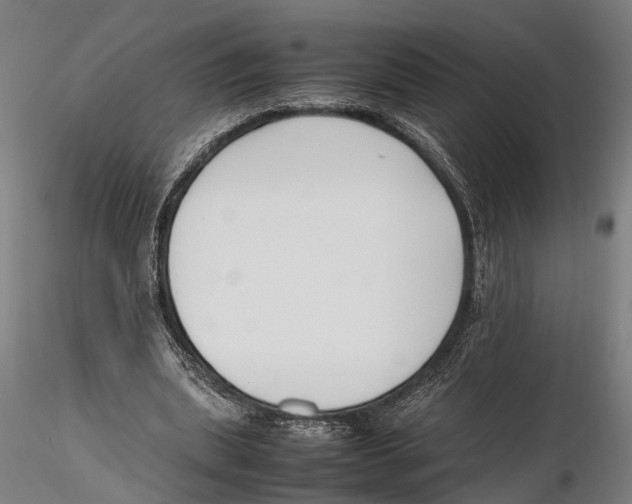 X0000115720439200912101432