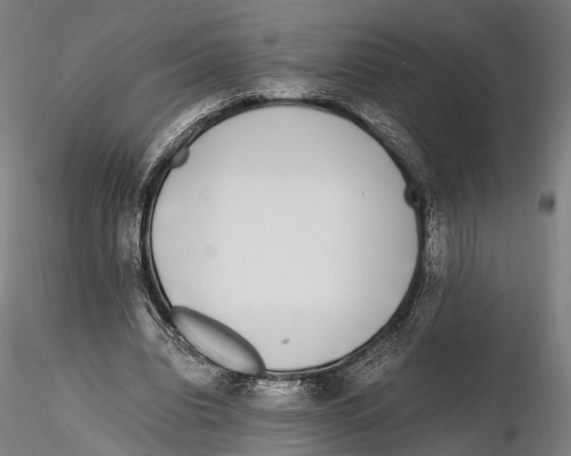 X0000115720440200912101432