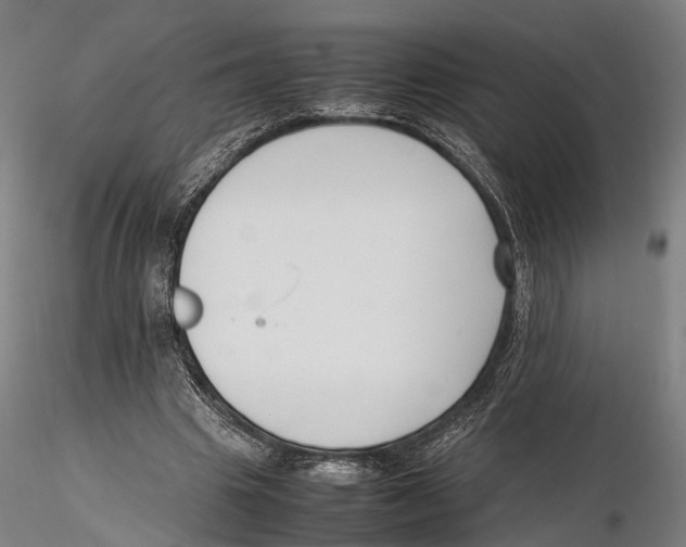 X0000115720441200912101432