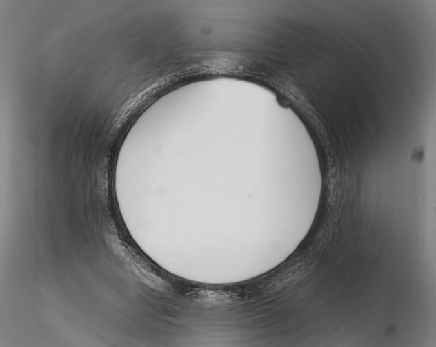 X0000115720442200912101432
