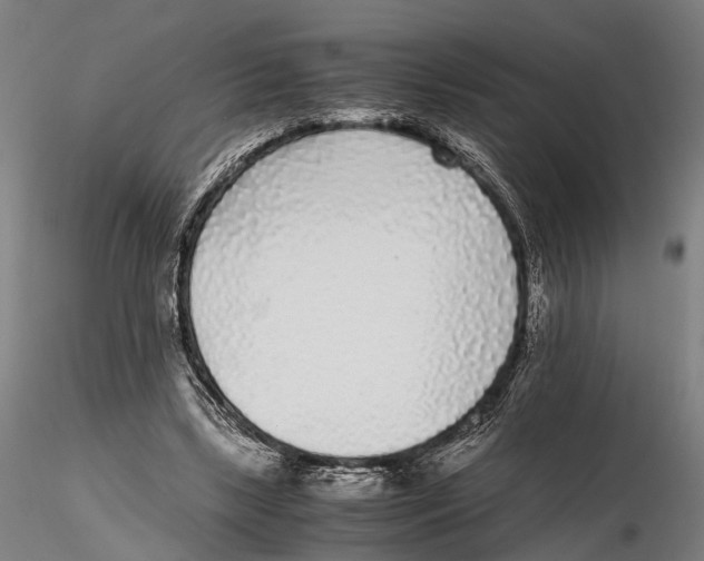 X0000115720443200912101432