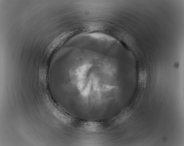 X0000115720444200912101432