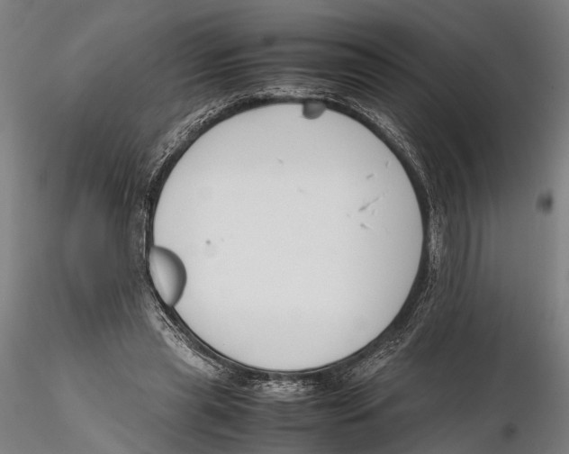 X0000115720445200912101432