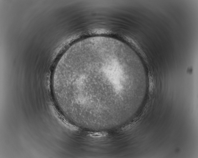 X0000115720447200912101432