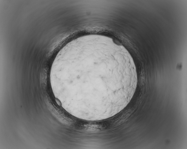 X0000115720448200912101432