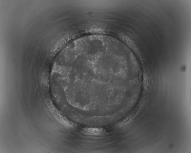 X0000115720449200912101432