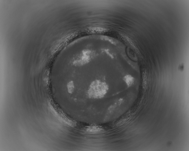 X0000115720451200912101432