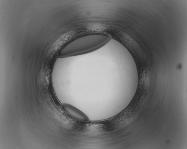 X0000115720452200912101432