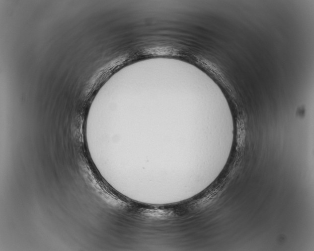 X0000115720453200912101432