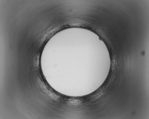 X0000115720454200912101432
