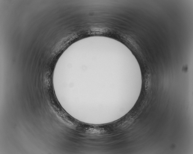 X0000115720455200912101432