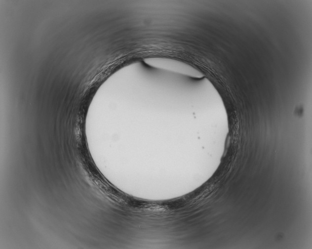 X0000115720456200912101432