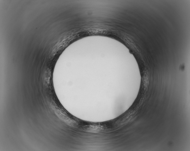 X0000115720458200912101432