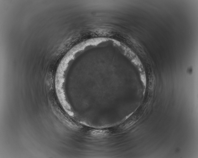 X0000115720465200912101432