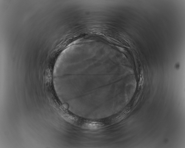 X0000115720467200912101432